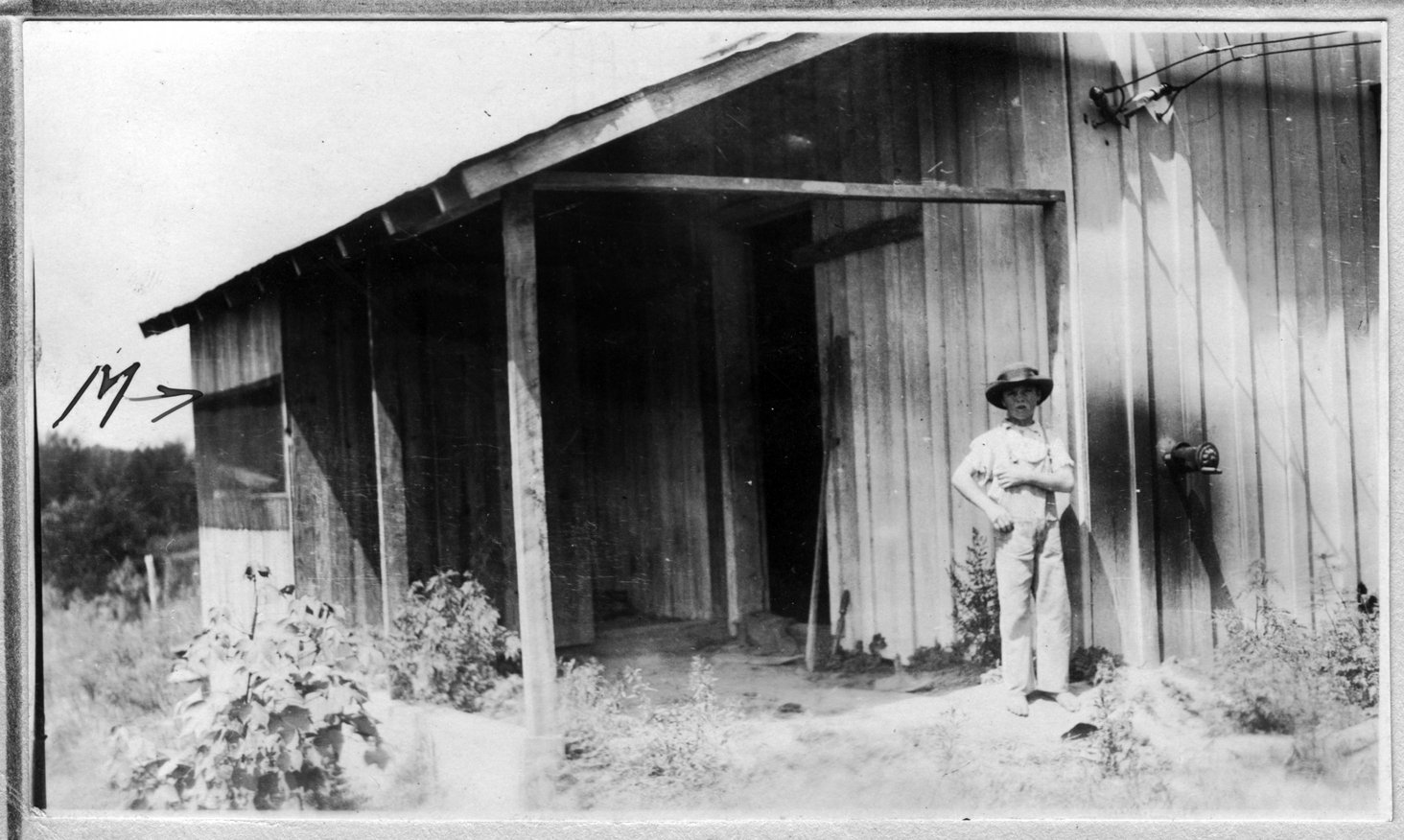 248~Felix Davis 2.jpg
